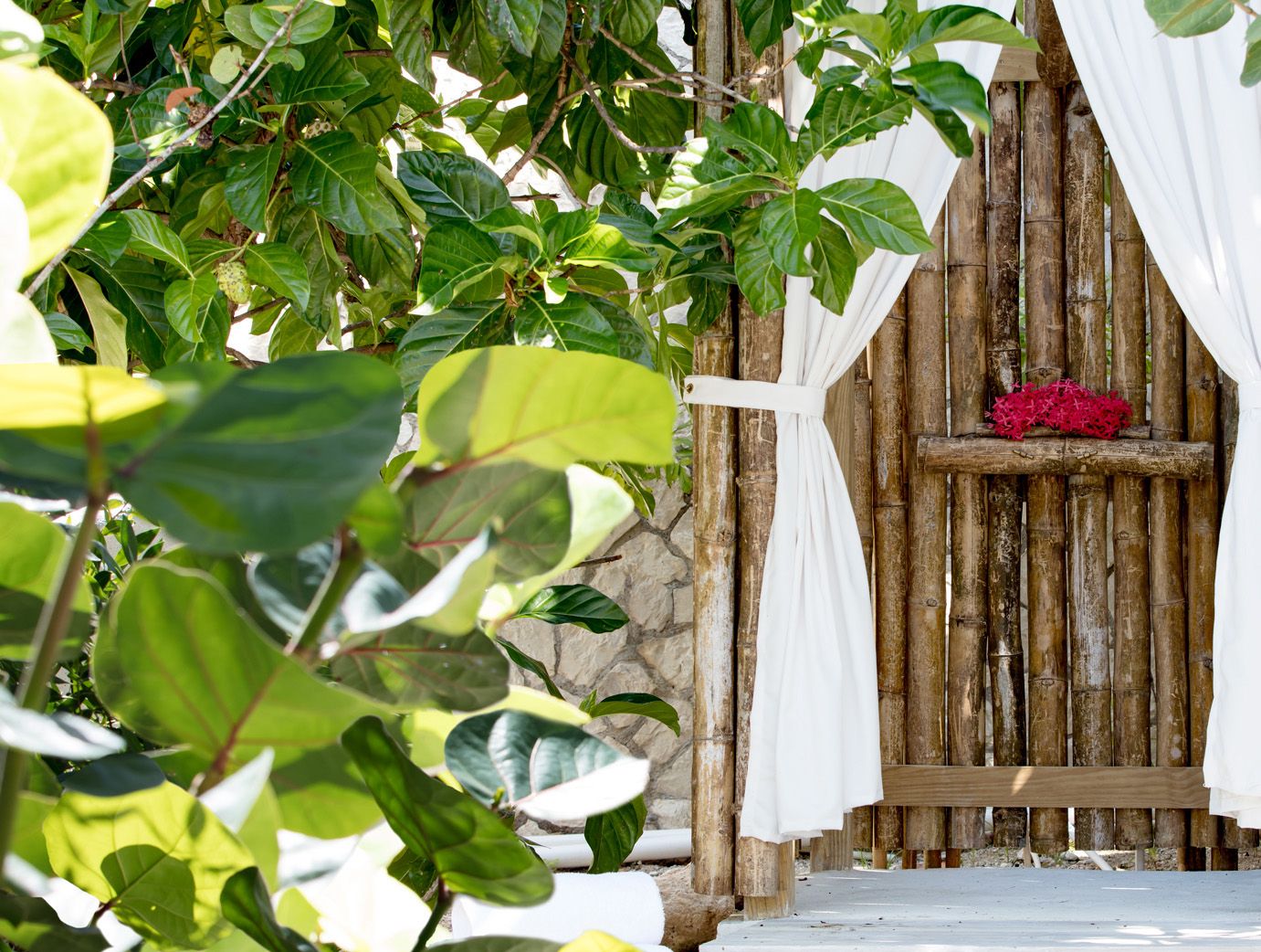A garden doorway with white drapes tied back, a wooden gate, and lush green leaves in the foreground.